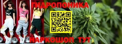 PSILOCYBIN Кинель