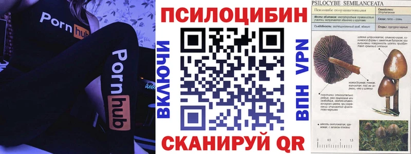 Галлюциногенные грибы Psilocybe  где найти   Унеча 