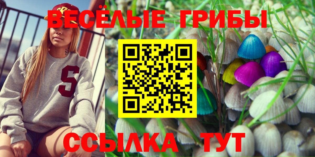 Галлюциногенные грибы Psilocybe  где купить наркоту  Унеча  Псилоцибиновые грибы мицелий  Вход с VPN 