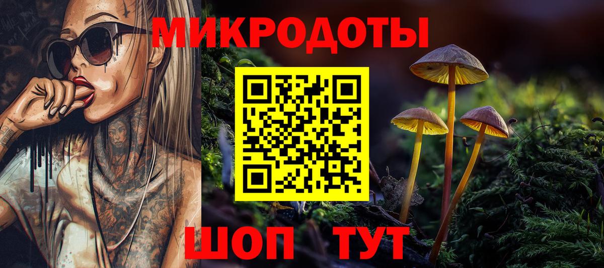 Псилоцибиновые грибы Psilocybe Унеча